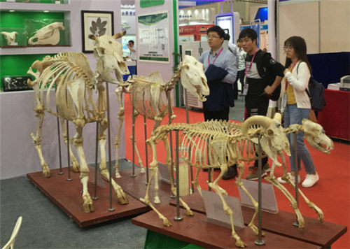 祝賀雨林參展4月教育“兩會”圓滿成功