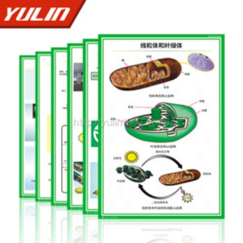 病蟲害防治掛圖