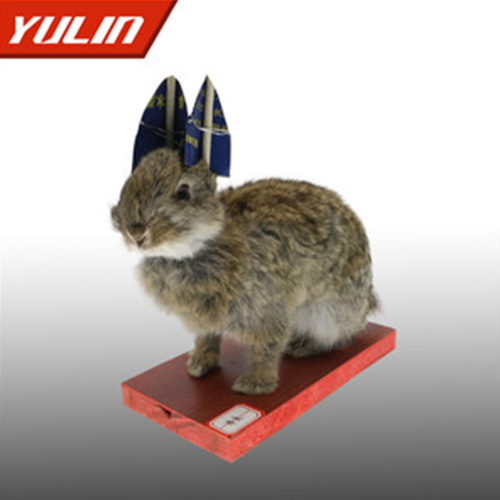 草兔標(biāo)本